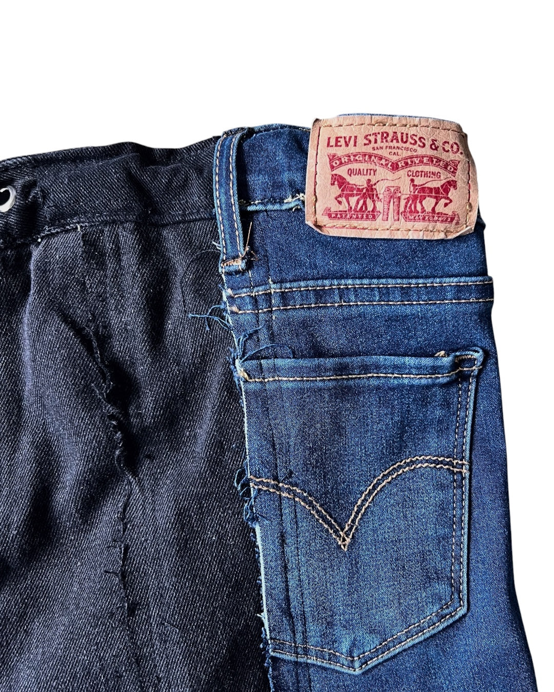 Edge Jorts 002