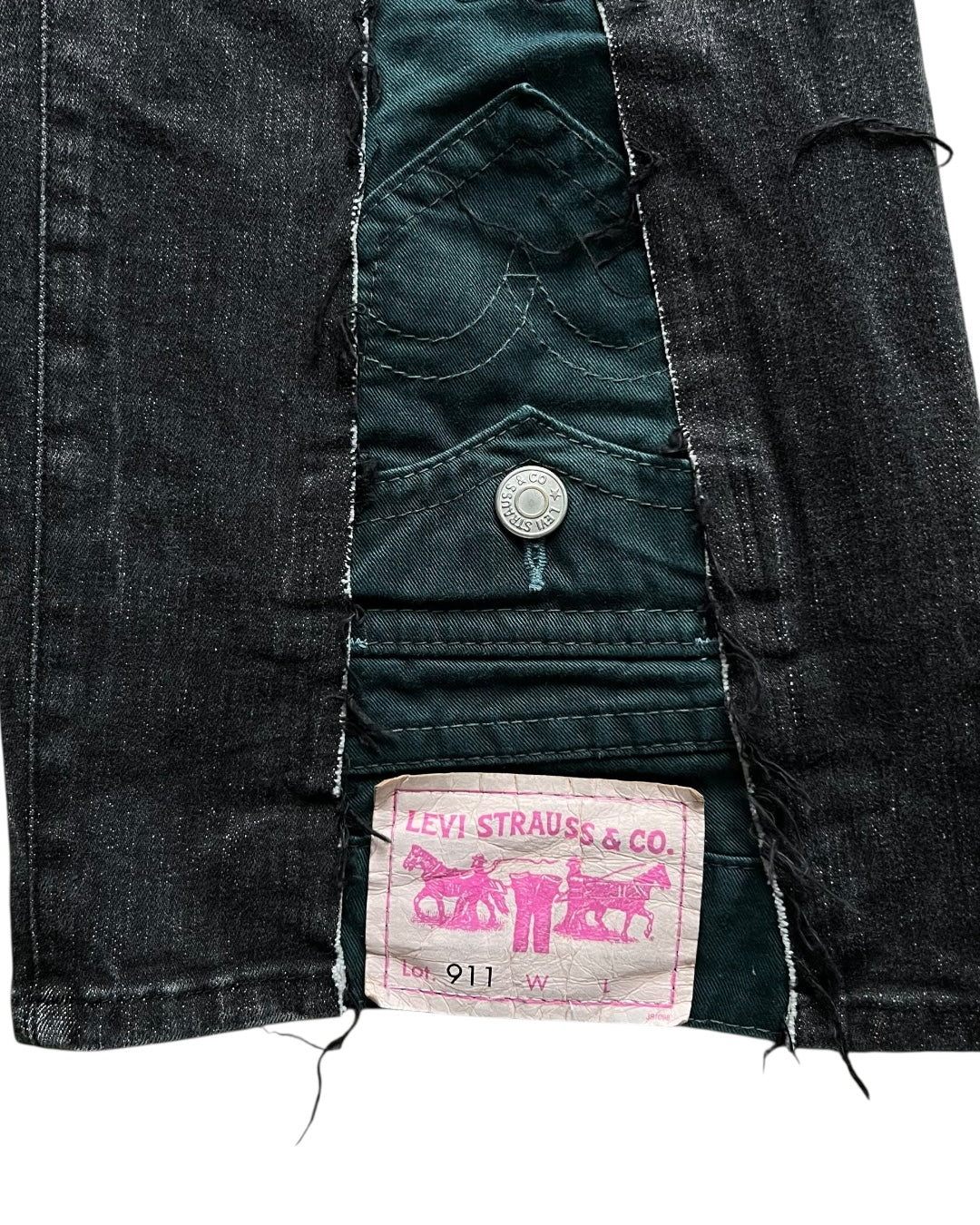 Duality Pants 023