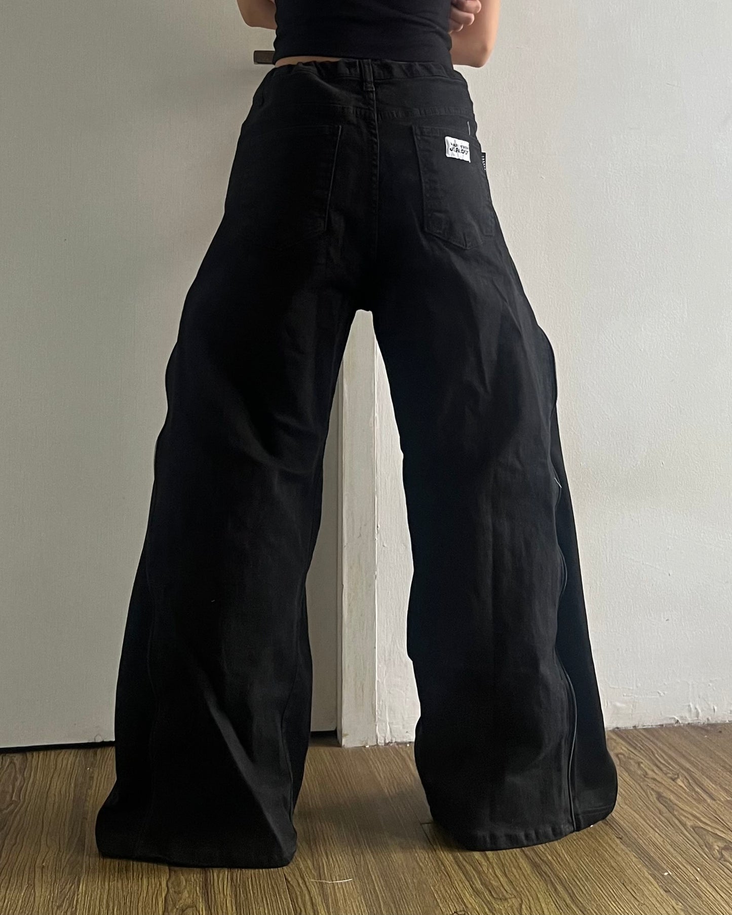 [BIG SIZE] Zipper Pants 0221