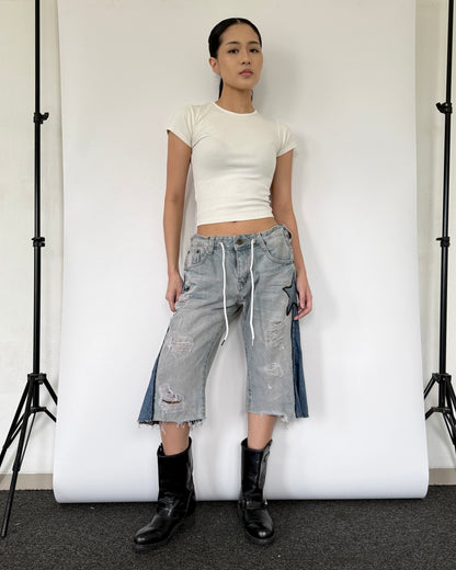Star Jorts 004