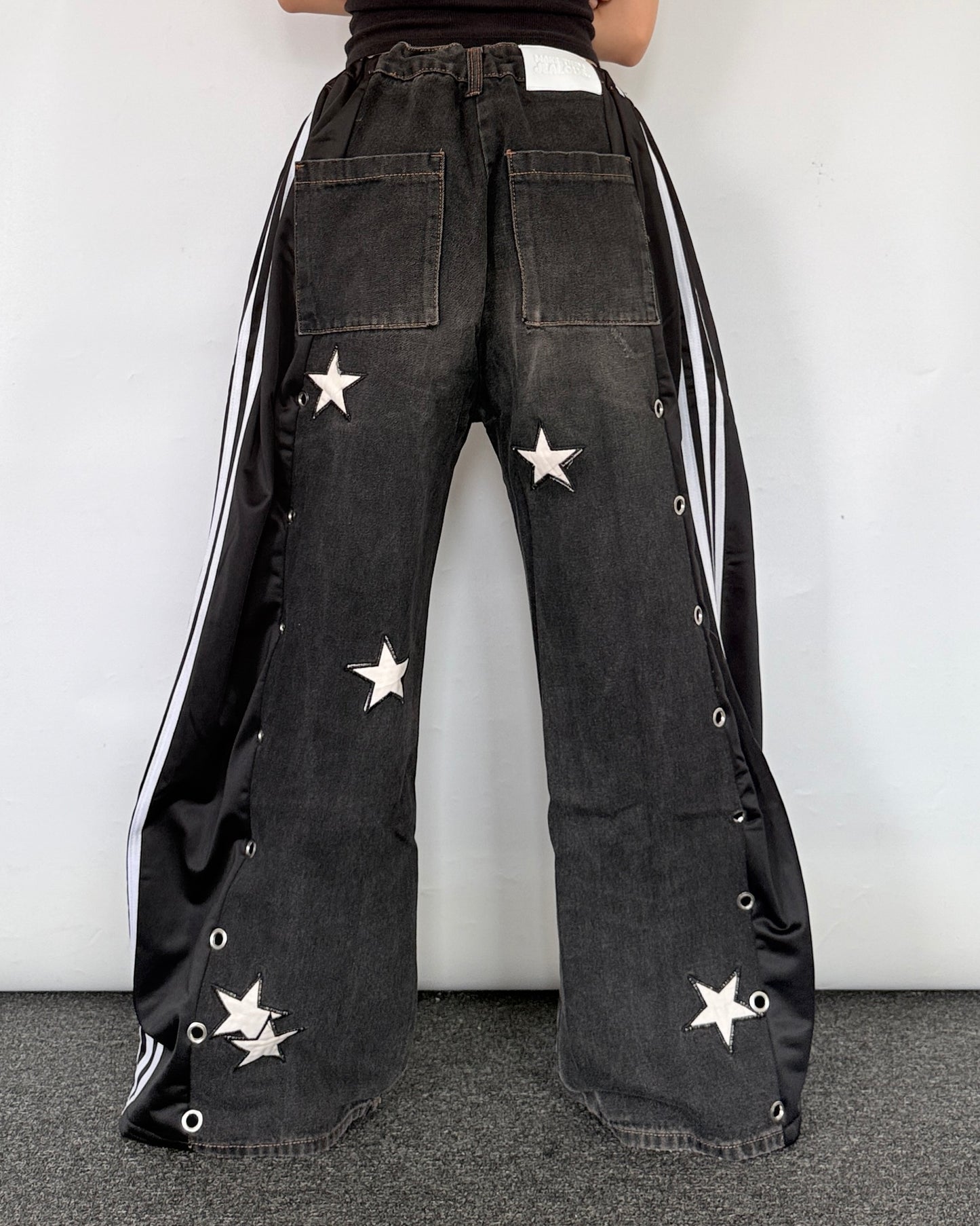 [BIG SIZE] Hybrid Pants 0145